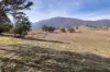 43A Schilg Lane, Staghorn Flat VIC 3691-Image