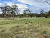 44, 399 Rothlyn Road, Chakola, NSW 2630-Image
