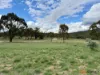 44, 399 Rothlyn Road, Chakola, NSW 2630-Image