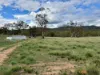 44, 399 Rothlyn Road, Chakola, NSW 2630-Image