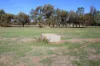 44 Johnson Road, Lockington, Vic 3563-Image