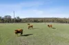 4405 Bylong Valley Way, Rylstone, NSW 2849-Image