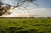 4437 Southern Ports Highway, Robe, SA 5276-Image