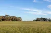 4437 Southern Ports Highway, Robe, SA 5276-Image