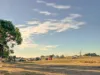 4437 Southern Ports Highway, Robe, SA 5276-Image