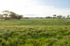 4437 Southern Ports Highway, Robe, SA 5276-Image