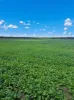 4437 Southern Ports Highway, Robe, SA 5276-Image