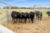 4437 Southern Ports Highway, Robe, SA 5276-Image