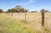 4437 Southern Ports Highway, Robe, SA 5276-Image