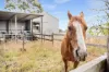4437 Southern Ports Highway, Robe, SA 5276-Image