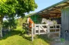 445 Cosy Camp Road, Corndale NSW 2480-Image