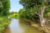 445 Cosy Camp Road, Corndale NSW 2480-Image
