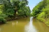 445 Cosy Camp Road, Corndale NSW 2480-Image