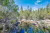 449 Horsecamp Road, Horse Camp, Qld 4671-Image