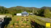 45, Crawford River NSW 2423-Image