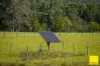 45, Crawford River NSW 2423-Image