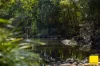 45, Crawford River NSW 2423-Image