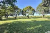 45 Jay Road, Mourilyan Harbour, Qld 4858-Image