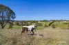 45 Sloggetts Lane, Portland, NSW 2847-Image
