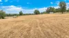 45 Stirling Road, Tamworth, NSW 2340-Image
