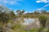 45 Tea Tree Road, Bombay, NSW 2622-Image