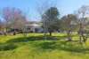 451 Chichester Dam Road, Dungog, NSW 2420-Image