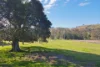 451 Chichester Dam Road, Dungog, NSW 2420-Image