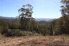 452A Ribbon Gum Road, Krawarree, NSW 2622