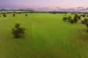 453 Old Narrandera Road, Gobbagombalin, NSW 2650-Image
