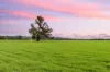 453 Old Narrandera Road, Gobbagombalin, NSW 2650-Image