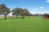 456 Boundary Road, Leeton, NSW 2705-Image