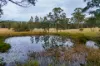 457 Spooners Avenue, Collombatti, NSW 2440-Image