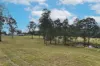 457 Spooners Avenue, Collombatti, NSW 2440-Image
