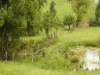 459 Orara Way, Coramba, NSW 2450-Image