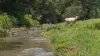 46 Camilleris Road, Mount Charlton, Qld 4741-Image