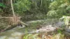 46 Camilleris Road, Mount Charlton, Qld 4741-Image