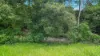 46 Camilleris Road, Mount Charlton, Qld 4741-Image
