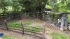 46 Camilleris Road, Mount Charlton, Qld 4741-Image