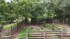 46 Camilleris Road, Mount Charlton, Qld 4741-Image