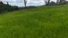 46 Camilleris Road, Mount Charlton, Qld 4741-Image