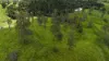 46 Camilleris Road, Mount Charlton, Qld 4741-Image