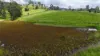 46 Camilleris Road, Mount Charlton, Qld 4741-Image
