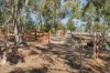 46 Green Gully Road, Cockatoo Valley, SA 5351-Image