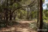 46 Hawleys Lane, Weegena, Tas 7304-Image