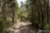 46 Hawleys Lane, Weegena, Tas 7304-Image