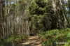 46 Hawleys Lane, Weegena, Tas 7304-Image