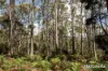 46 Hawleys Lane, Weegena, Tas 7304-Image