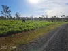 46 Satellite Road, Meringandan, Qld 4352-Image