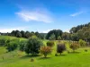 46 Titania Road, Oberon, NSW 2787-Image