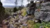462 Masons Road, Everton Upper, Vic 3678-Image